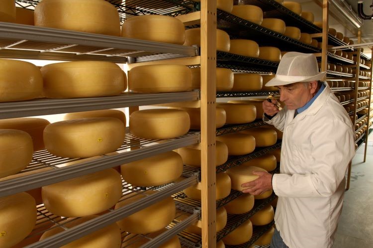 Lyburn cheese mike grading