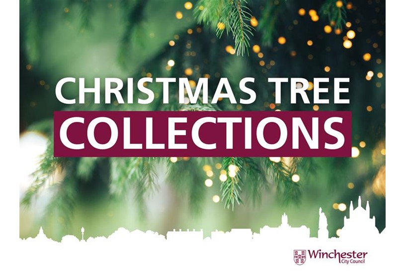 Christmas tree collections